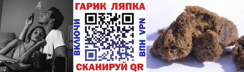 ГАШ гарик Ефремов