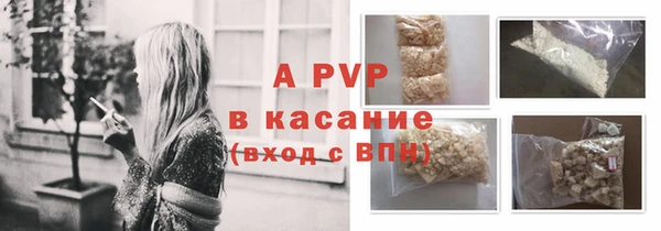 стаф Иннополис