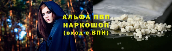 стаф Иннополис