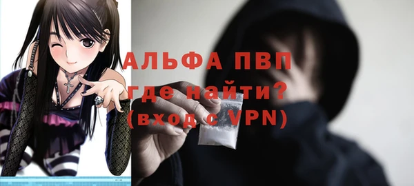 гашик Зеленокумск