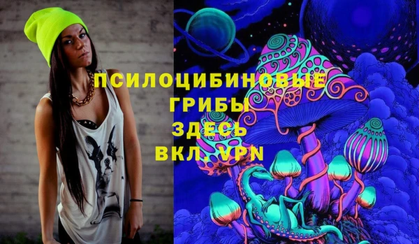 гашик Зеленокумск